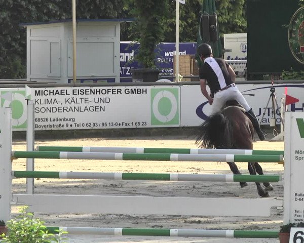 Reitturnier Viernheim 2018
