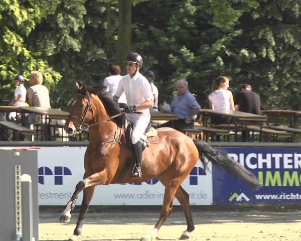 Reitturnier Viernheim 2018