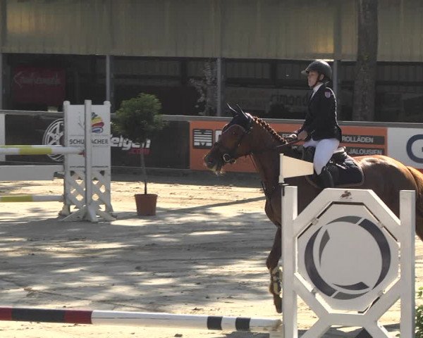 Reitturnier Viernheim 2018