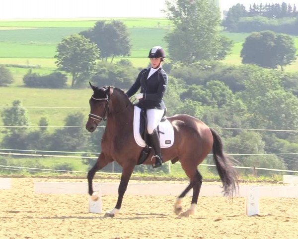 Reitturnier Brilon 2018