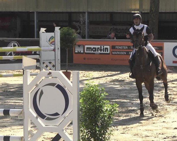 Reitturnier Viernheim 2018