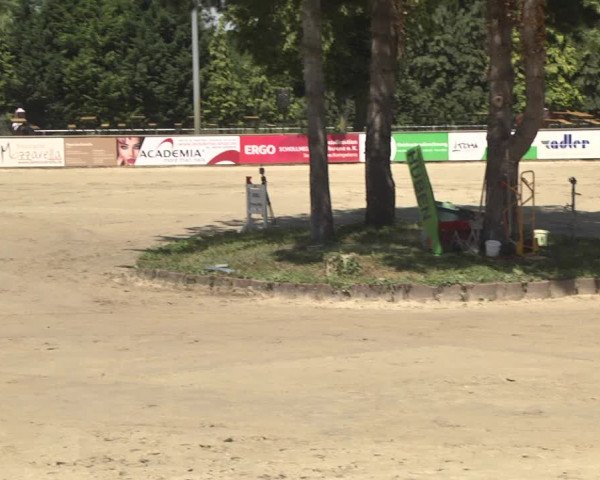 Reitturnier Viernheim 2018