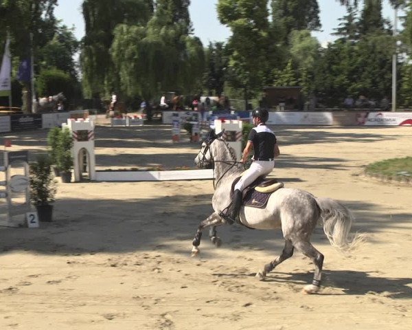 Reitturnier Viernheim 2018