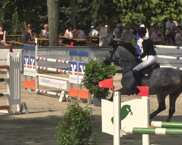 Reitturnier Viernheim 2018