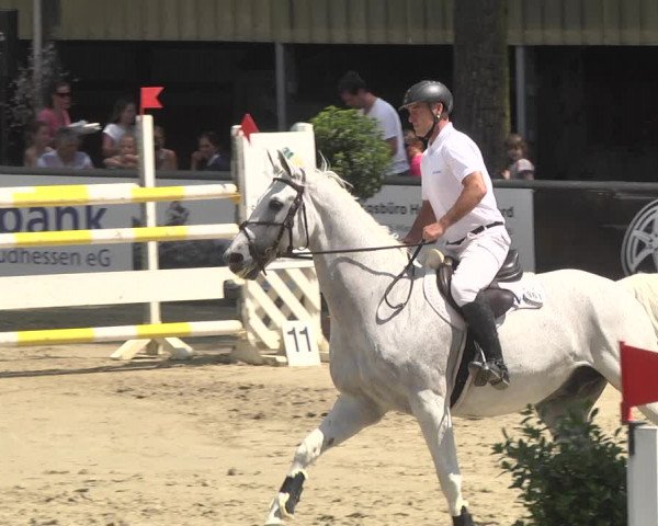 Reitturnier Viernheim 2018