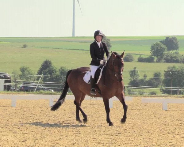 Reitturnier Brilon 2018