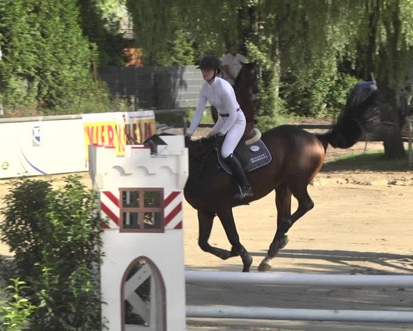 Reitturnier Viernheim 2018
