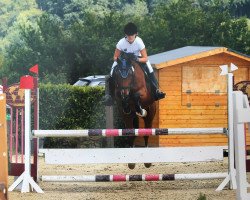 jumper Rascalino Son (Hanoverian, 2006, from Rascalino)