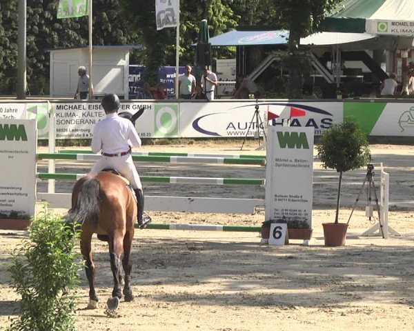 Reitturnier Viernheim 2018