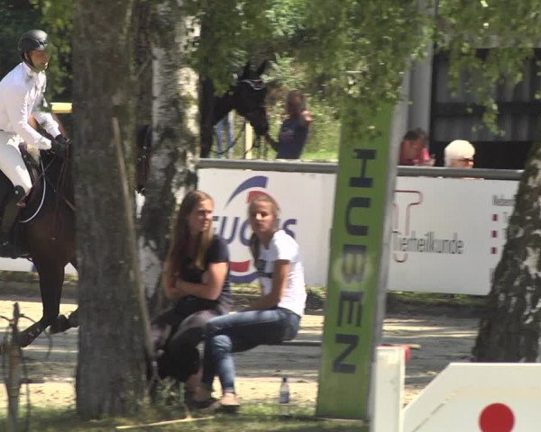 Reitturnier Viernheim 2018