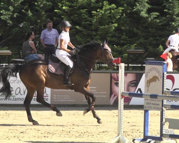 Reitturnier Viernheim 2018
