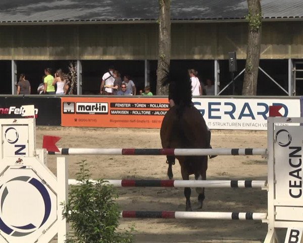 Reitturnier Viernheim 2018