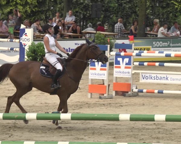 Reitturnier Viernheim 2018