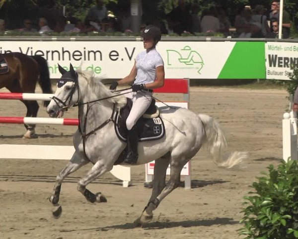 Reitturnier Viernheim 2018