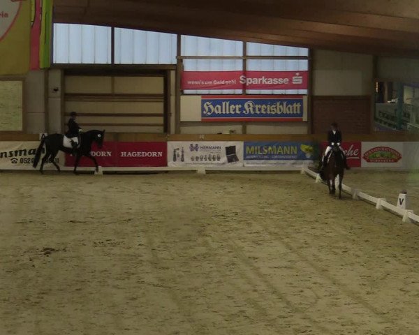 Steinhagen Classics 2021
