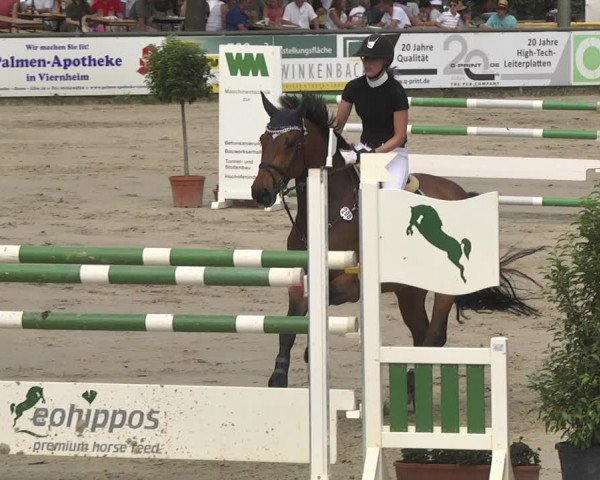 Reitturnier Viernheim 2018