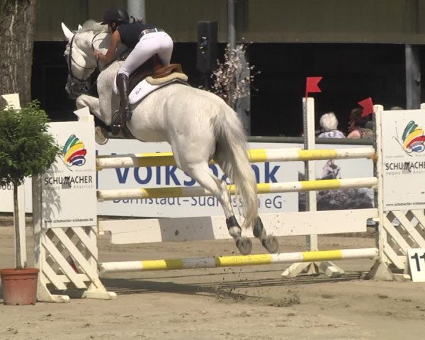 Reitturnier Viernheim 2018