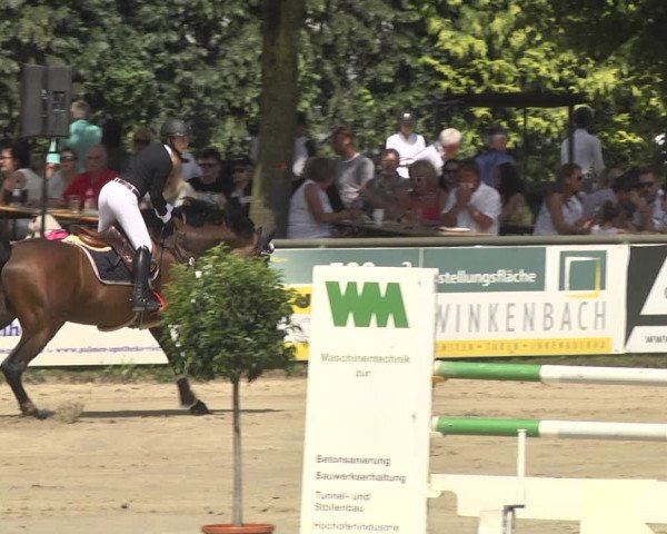 Reitturnier Viernheim 2018