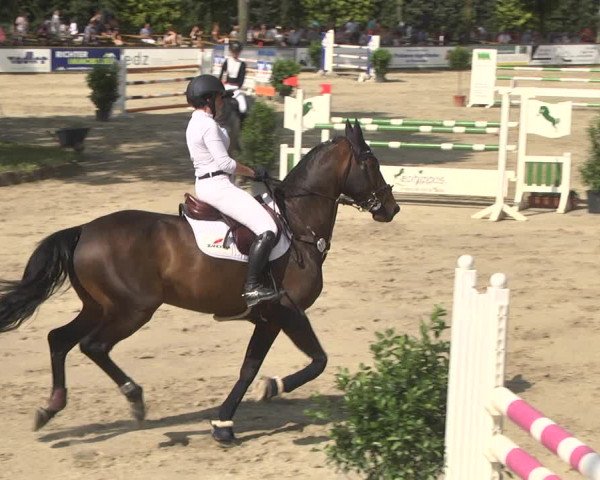 Reitturnier Viernheim 2018