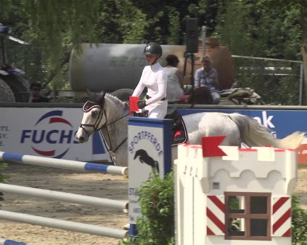 Reitturnier Viernheim 2018