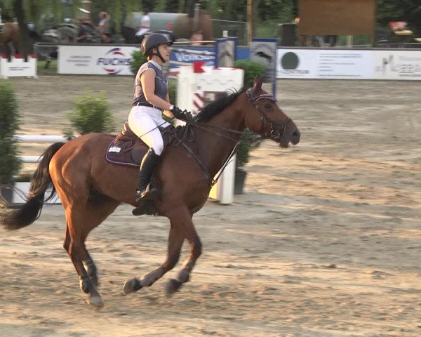Reitturnier Viernheim 2018