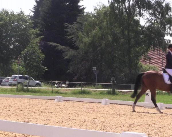 Reitturnier Hille 2018