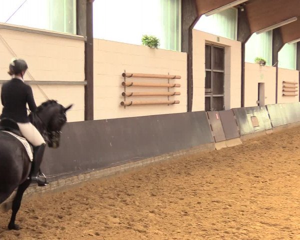 Kiersper Reitertage 2018