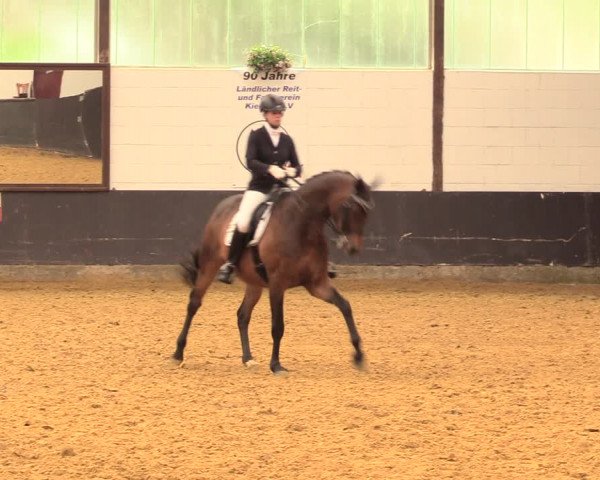 Kiersper Reitertage 2018
