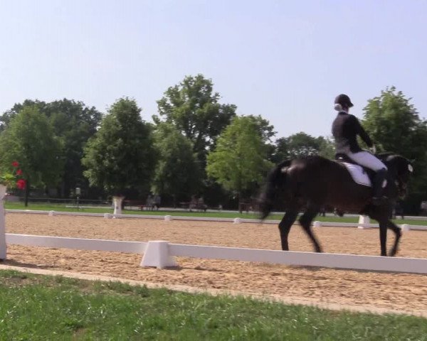 Reitturnier Hille 2018