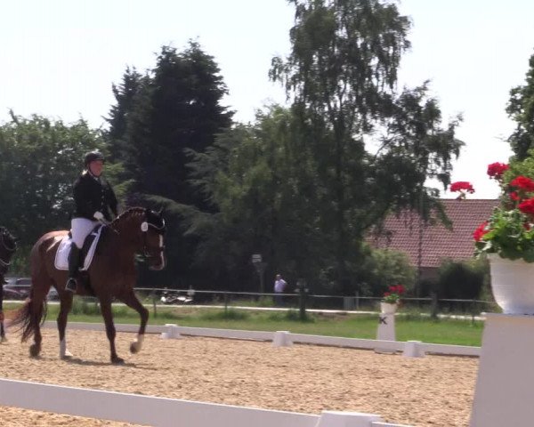 Reitturnier Hille 2018
