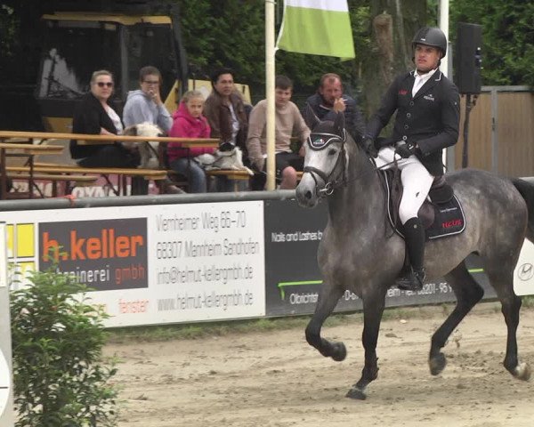 Reitturnier Viernheim 2018