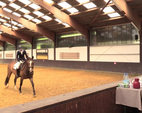 Kiersper Reitertage 2018