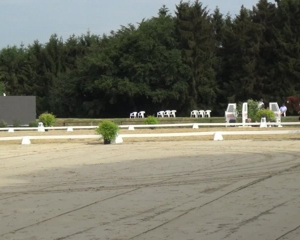 Reitturnier Burscheid-Paffenlöh 2018