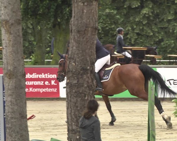 Reitturnier Viernheim 2018