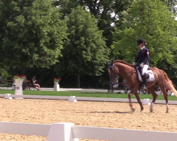Reitturnier Hille 2018
