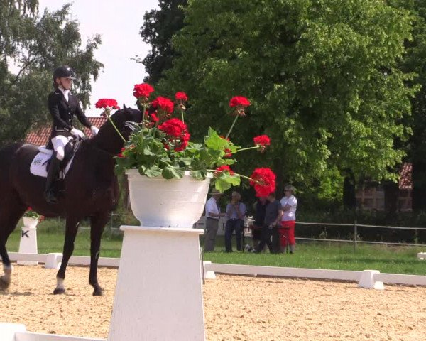 Reitturnier Hille 2018