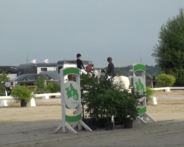 Reitturnier Burscheid-Paffenlöh 2018
