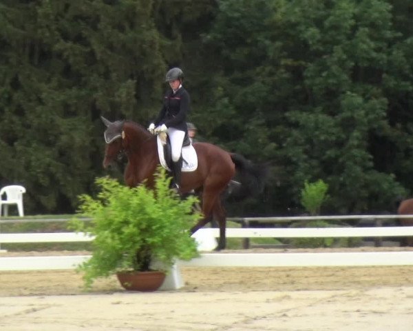 Reitturnier Burscheid-Paffenlöh 2018