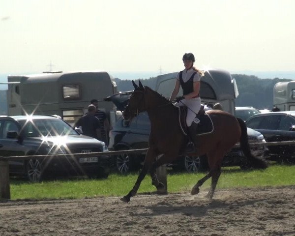 Reitturnier Burscheid-Paffenlöh 2018