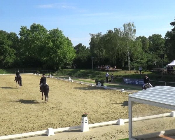Reitturnier Ladenburg 2018