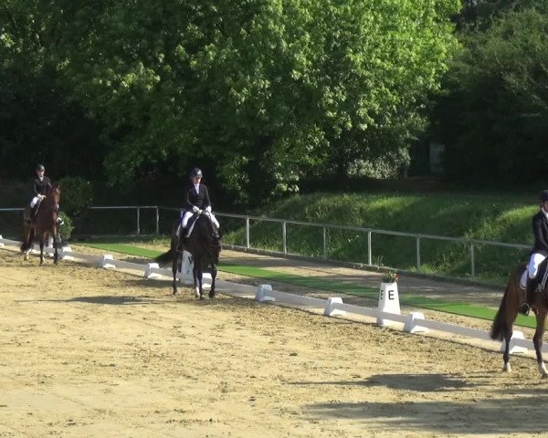 Reitturnier Ladenburg 2018