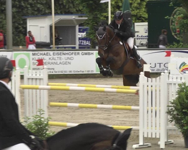 Reitturnier Viernheim 2018
