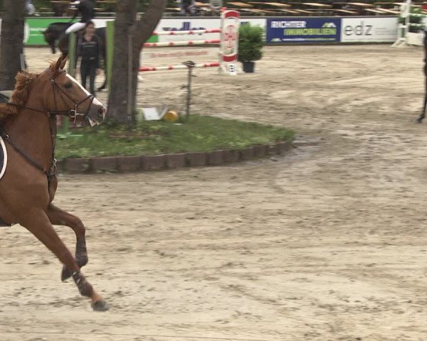 Reitturnier Viernheim 2018