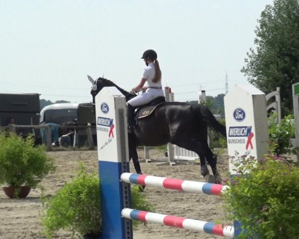 Reitturnier Burscheid-Paffenlöh 2018