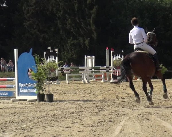 Reitturnier Burscheid-Paffenlöh 2018