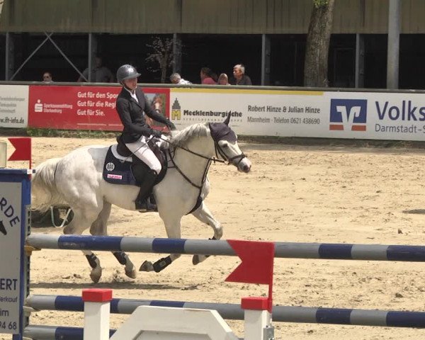 Reitturnier Viernheim 2018