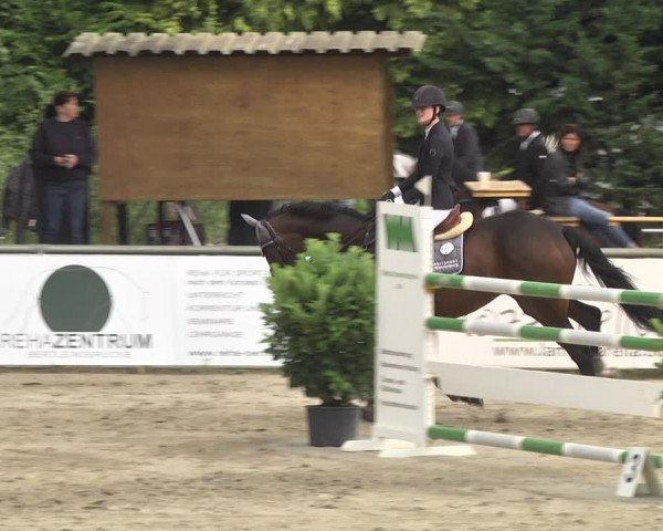 Reitturnier Viernheim 2018