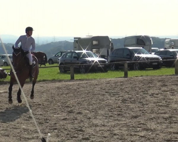 Reitturnier Burscheid-Paffenlöh 2018
