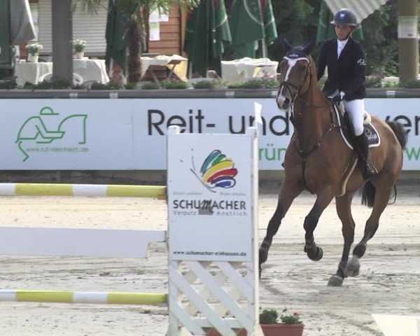 Reitturnier Viernheim 2018