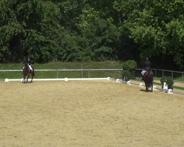 Reitturnier Ladenburg 2018